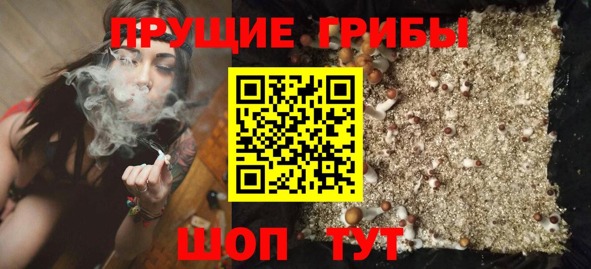 Галлюциногенные грибы MAGIC MUSHROOMS  Вход с VPN  Краснодар 
